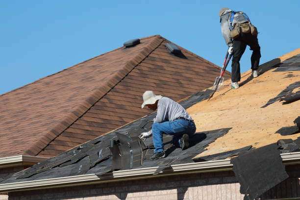 Portland, MI  Roofing repair and installation Company