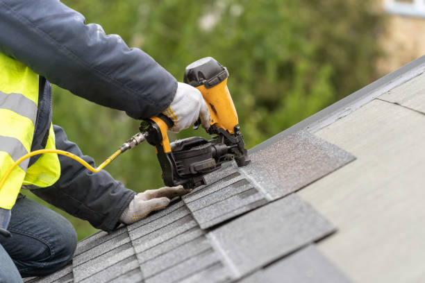 Best Asphalt Shingle Roofing  in Portland, MI