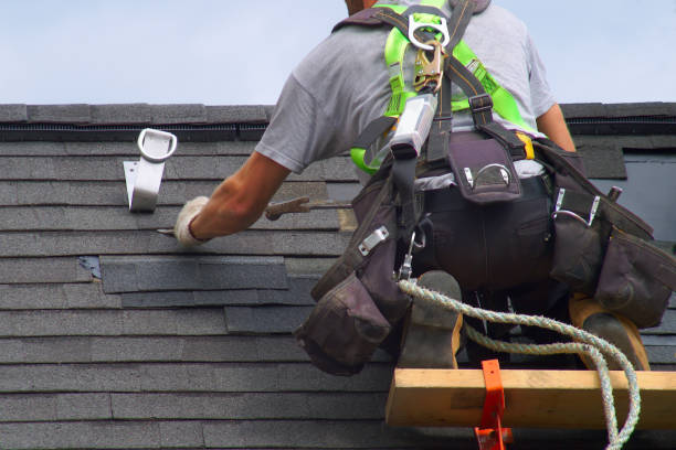 Best Roof Repair  in Portland, MI