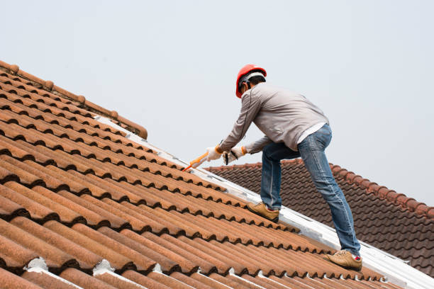 Best Emergency Roof Repair Services  in Portland, MI