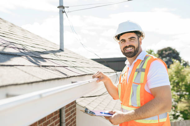 Best Roof Moss and Algae Removal  in Portland, MI