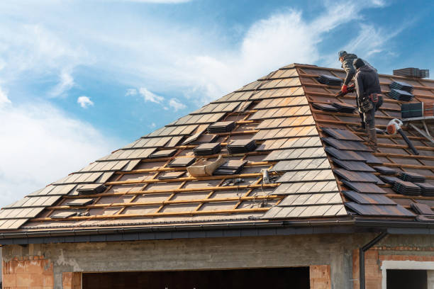Best Roof Maintenance and Cleaning  in Portland, MI